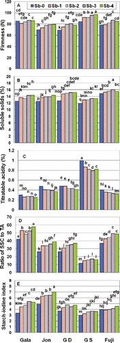 FIGURE 4 Treatment combinations of cultivar and sunburn classes for flesh firmness, SSC, TA, SAR, and starch index. Each bar represents the MTS of the fruit analyzed. Bars with different letters above them are significantly different (P < 0.05) from other bars in the figure for that quality trait.