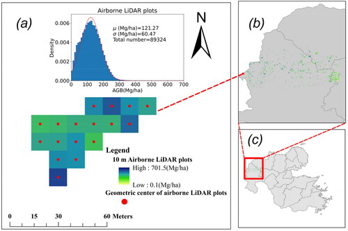 Figure 3. Airborne LiDAR Data. (a) example of modelling data, (b) close-up of airborne LiDAR plots, (c) Oita prefecture.