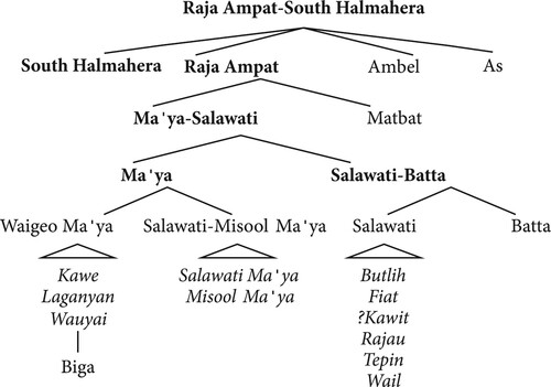 Figure 3. Proposed phylogeny of the Raja Ampat languages, following Arnold in ‘The Diachrony of Word Prosody’.