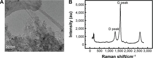 Figure 1 Characterization of G/SWCNT hybrids.Notes: (A) TEM images of G/SWCNT hybrids showing the fibers and particles assembling together. (B) Raman spectrum of G/SWCNT hybrids.Abbreviations: G/SWCNT, graphene/single-walled carbon nanotube; TEM, transmission electron microscopy.