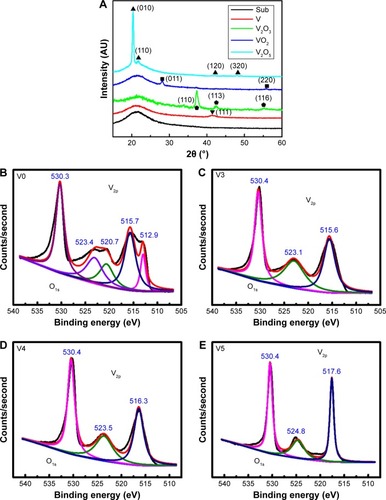 Figure 2 XRD patterns (A) of samples V0, V3, V4, and V5, accompanied by the V2p XPS spectra of samples V0 (B), V3 (C), V4 (D), and V5 (E).Abbreviations: XRD, X-ray diffraction; XPS, X-ray photoelectron spectroscopy; V0, homogeneous vanadium metal nanoparticles deposited on quartz glass; V3, homogeneous V2O3 nanoparticles deposited on quartz glass; V4, homogeneous VO2 nanoparticles deposited on quartz glass; V5, homogeneous V2O5 nanoparticles deposited on quartz glass.