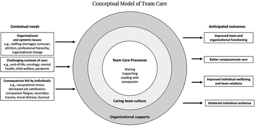 Figure 2. Conceptual model of team care.