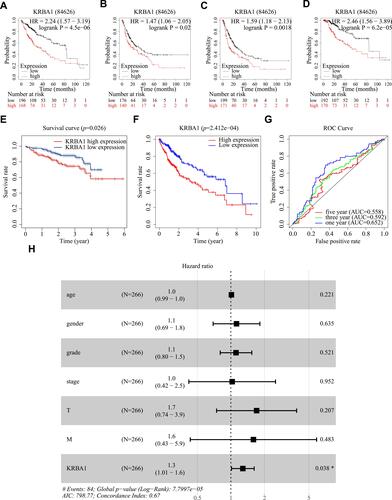 Figure 3 KRBA1 expression is an independent prognostic factor correlated with poorer prognosis of LIHC patients. (A–D) Relationship between KRBA1 expression and OS, DFS, PFS and DSS based on Kaplan-Meier Plotter database. (E) Relationship between KRBA1 expression and Survival based on ICGC database. (F) HCC patients with lower expression level of KRBA1 had favorable prognosis based on 240 patients downloaded from TCGA. (G) ROC curves for the 1-, 3-, and 5-year survival according to the expression level of KRBA1. (H) A forest plot of the results of the multivariate analysis. *p< 0.05; **p< 0.01; ***p< 0.001.