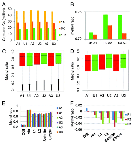 Figure 2. Genome coverage and overall methylation patterns. (A) Captured Cs in CpG context at different depths of coverage. Almost all CpGs in the genome were covered; however, CpGs with at least 10X coverage accounted for about 1/3 of ~30million CpGs in the genome. (B) Overall mean methylation was reduced by 0.3–3% in affected individuals (A1–3) relative to unaffected controls (U1–3;). (C) Methylation distribution of genic CpGs by sample. The affected had slightly lower methylation than their unaffected siblings. The horizontal bar within each box is the median methylation for the sample. (D) Methylation distribution of intergenic CpGs by sample. The affected patients had lower methylation than unaffected individuals and the differences were greater than in genic regions. The horizontal bar within each box is the median methylation for the sample. (E) CGI and repeat region methylation. CGI methylation was low (~30%) across all samples with little difference between samples while methylation in repeat regions (Alu, L1, L2, satellite, and simple repeats) was higher (≥70%). The affected patients consistently had lower methylation (1–5% reduction) than their unaffected siblings. (F) Methylation difference between sibling pairs in CGIs and repeat elements. All repeat elements but not CGIs had lower methylation in the affected individuals with Pair 1 (P1) displaying the smallest differences.