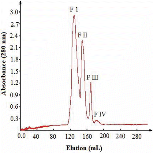 Figure 2  Pattern of RSPH fractions separated by gel filtration on Sephadex G-15.