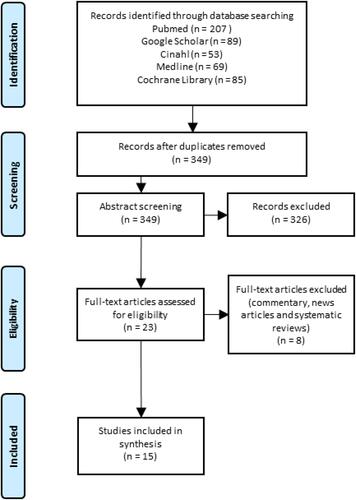 Figure 1 PRISMA flow diagram for the scoping review process.