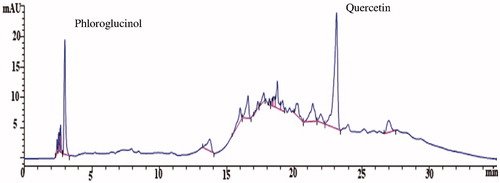 Figure 1. HPLC analysis of the chloroform extract of Mukia showing the presence of phloroglucinol and quercetin.
