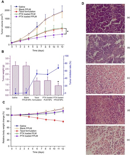 Figure 11 In vivo therapeutic efficacy of the different PTX formulations at a dose of 5 mg/kg in M109 lung tumor-bearing mice. (A) Changes of tumor volumes in mice during the experimental period; (B) The dissected tumor weights and the tumor inhibition rates on day 12; (C) Relative body weight changes of tumor-bearing mice during the treatment. Error bars represent SDs (n=5). (D) Images of tumor sections separated from mice stained by H&E on day 12 (a: saline; b: blank FPLM; c: Taxol formulation; d: PTX-loaded PLM; e: PTX-loaded FPLM).Notes: *p<0.05, compared with Taxol formulation group.Abbreviations: LBMapoB, lipid-binding motif of apoB-100; FPLM NPs, FPL decorated lipoprotein-mimicnanoparticles; FPL, FA-PEG-LBMapoB.