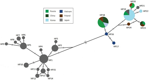 Figure 3. Extended median-joining haplotype network representing relationships between the cytb haplotypes of raccoon dogs from Poland and Russia described in this study and homologous sequences of individuals with determined geographical origin obtained from GenBank resources; the areas of the circles are proportional to the number of animals sharing each haplotype; haplotypes observed in the groups are marked in accordance with the legend; the number of lines between haplotypes reflects the number of mutations.