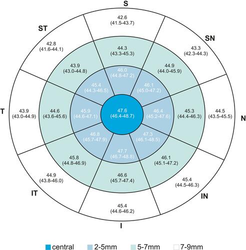 Figure 3 Representative corneal epithelial thickness in boys. Numbers represent mean (95% CI for mean).