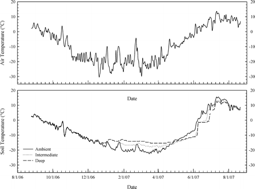 FIGURE 1 Air and soil temperatures at the study site from 24 August 2006 through 24 August 2007.