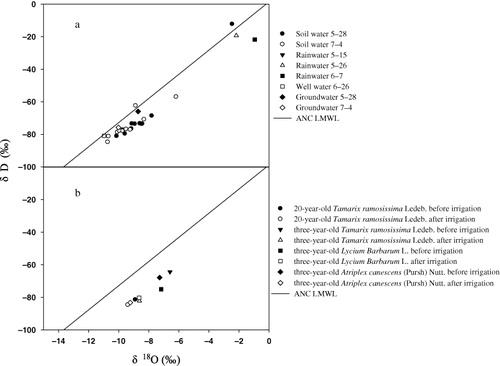 Figure 4. (A–B) δ18O and δD of environmental and plant xylem water sampled at field site and their relationship with Arid Northwest China local meteoric water line (ANC LMWL) in Northwest China.