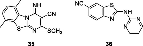 Figure 21. Pyrimidine based benzothiazole derivative 35 and 36.