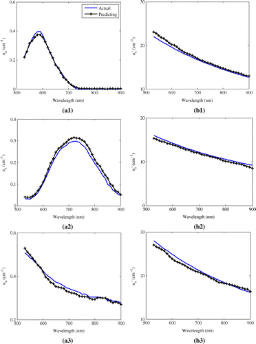 Figure 7. The prediction results of μa and μs′ for three liquid phantoms using experimental data: (a1) μa of blue dye, (b1) μs′ of blue dye, (a2) μa of green dye, (b2) μs′ of green dye, (a3) μa of black ink and (b3) μs′ of black ink.