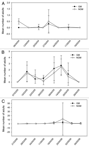 Figure 4. Mean number of nymphs and adults of Emposca kraemeri sampled in plant canopy of genetically modified (GM) and non-genetically modified common bean plants (NGM), in 2 m of row, in eight sampling dates in 2004 (A), 2005 (B), and 2006 (C). Asterisk in the specific sample date indicates that treatments are significantly different (Tukey’s test of transformed data using x+1; P < 0.05).