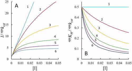 Figure 4. Predicted effect of the inhibitor concentration on the apparent kinetic parameters. The dependence of 1/appkcat (Panel A) and appKM/appkcat (Panel B) on the inhibitor concentration for different incomplete uncompetitive inhibition situations is reported, according to EquationEquations (2(2) kcatapp=Ki*k+2+k+4[I]Ki*+[I] (2) and Equation4)(4) KMappkcatapp=Ki*KM+k+4k+1[I]Ki*k+2+k+4[I](4) , respectively. The following arbitrary values were fixed: k+2 = 1, k+1 = 100, KM = 0.5 and Ki* = 0.001. Curves 1–6 refer to k+4 values of zero (complete inhibition), 0.02, 0.05, 0.1, 0.15 and 0.2, respectively.