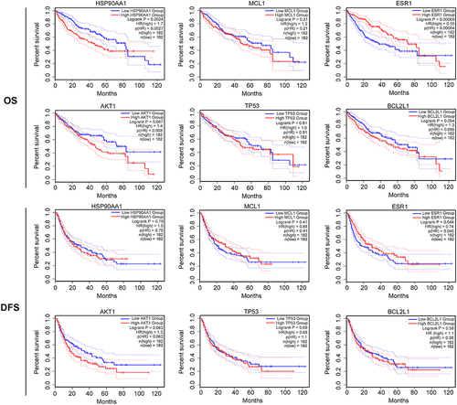 Figure 5 Overall survival (OS) and disease-free survival (DFS) analysis of genes involved in the risk score formula OS and DFS for HSP90AA1, MCL1, ESR1, AKT1, TP53, and BCL2L1 in hepatocellular carcinoma plotted according to the Cancer Genome Atlas dataset.