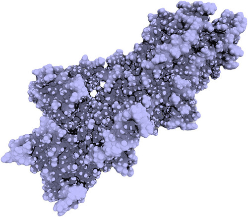 Figure 8 Homology model of PfATP4 regenerated using the crystal structure of SERCA (PDB 3TLM) as a template.