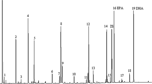 Figure 1 Chromatogram of FAME analysis, example of cod liver oil product FLO 6: 1 - C8:0, 2 - C14:0, 3 - C15:0, 4 - C16:0, 5 - C16:1 n-9, 6 - C18:0, 7 - C18:1t, 8 - C18:1 n-9, 9 - C18:1 n-7, 10 - C18:2 n-6, 11 - C18:3 n-3, 12 - C20:1 n-9, 13 - C18:4 n-3, 14 - C22:1 n-11 + n-13 + C20:3 n-3, 15 - C22:1 n-9, 16 - C20:5 n-3, 17 - C24:1c, 18 - C22:5 n-3, 19 - C22:6 n-3, IS – internal standard C23:0.