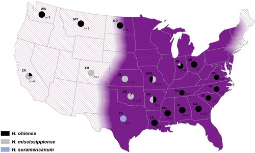 Figure 3. Geographic distribution of Histoplasma ohiense, H. mississippiense and H. suramericanum in the US territory. Eighty two isolates were genotyped using whole genome phylogenetic typing and were plotted as pie charts to each respective state of origin. Histoplasma ohiense is respresented by black while H. mississippiense and H. suramericanum are represented by grey and blue colours respectively. Two isolates had no information regarding the location of isolation. The background map is coloured in purple representing the known endemic area of histoplasmosis in the mid-eastern of US; hachure area represents potential endemic areas.
