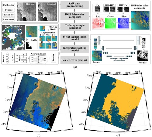 Figure 3. (a) The diagram of a proposed U-Net based algorithm to derive sea ice cover in high spatial resolution by spaceborne SAR data in dual-polarization (HH and HV) (Wang and Li Citation2021). (b) The case of S1 dual-polarization data (the southern scene of the image presented in Figure 2(b)) in the format of false-color composite (details are explained in the text) presents a complicated sea ice state and the derived sea ice cover data using the proposed method.