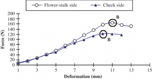 Figure 4 Force-deformation curves and bioyield points (B) of nectarines compressed from cheek side (deformation in height) and from stalk side (deformation in diameter). (Color figure available online.)