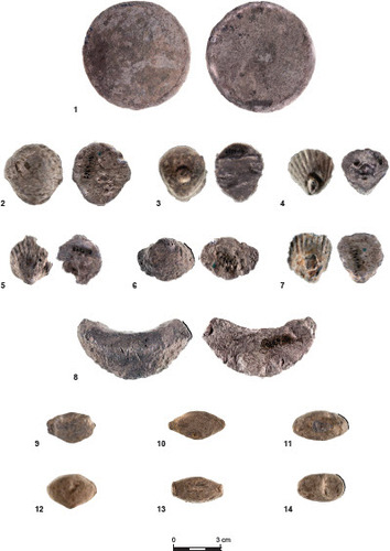 Fig. 2: Weights and sling bullets from Tell Iztabba