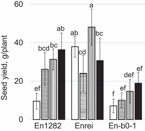 Figure 1. Effects of the N fertilization on the seed yields of three genotypes of soybean. Symbols indicate the types of N treatment where plants were grown: white, L-L; horizontal stripe, H-L; vertical stripe, L-H; black, H-H. Different letters indicate significant differences between genotypes and N treatments.