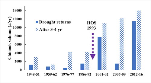 Figure 5. Effect of HOS on adult Chinook returns in droughts (solid bar) and 3 yr later (hatched bar). Drought returns and the 3 yr post-drought returns were low prior to HOS, but most droughts after HOS showed higher returns during and after droughts. The 2007–2009 returns were due to poor ocean conditions that affected all of California’s Sacramento River hatcheries.