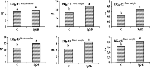 Figure 2.  Root length, root weight, node number, stem length and stem weight were positively affect by Sp245, in 50-day-old Mr.S 2/5 plants (30 days after inoculum). C = control. The data were subjected to one-way ANOVA (p<0.05).