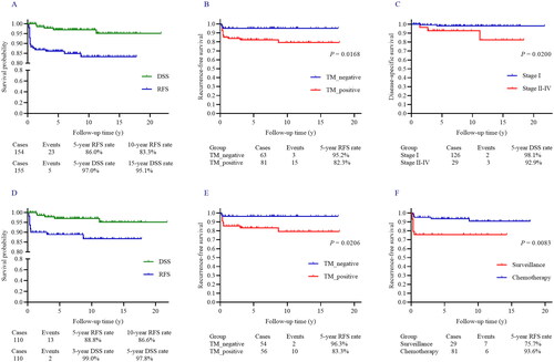 Figure 1. (A) The Kaplan-Meier (log-rank test) curves showed the RFS and DSS rates in this overall POIT cohort. (B) POIT patients with positive postoperative TM had a significantly higher risk of recurrence compared with those who had negative postoperative TM. (C) FIGO stage II-IV significantly increased the mortality risk in POIT patients compared with stage I. (D) The 5-year RFS and DSS rates in stage I POIT except IA G1 subgroup were 88.8% and 99.0%, respectively. (E) A significant difference in RFS rate was noted based on the postoperative TM level (negative vs. positive) in stage I POIT patients except IA G1. (F) Patients who received adjuvant chemotherapy showed significantly better RFS compared with those with active surveillance in POIT of stage IA G2-G3 and IB-IC of any grade.