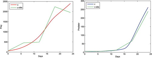 Figure 8. Comparison of cross-diffusion model with observed data.