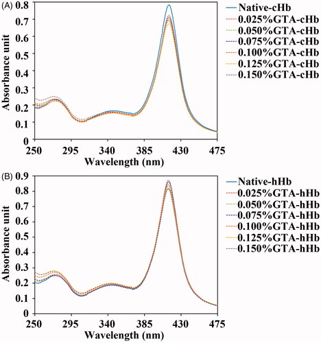 Figure 4. UV-Vis spectra of cHb (A) and hHb samples (B) were recorded at 250–480 nm at 25 °C.