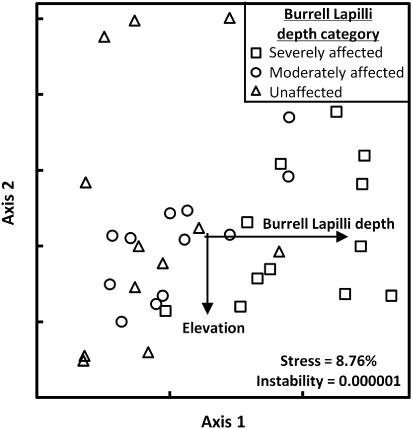 Figure 2 Non-metric multidimensional scaling (NMS) ordination of treeline vegetation quadrats, Mt Taranaki. The plot was constructed using the densities of 30 tree species found in 36 quadrats. The ordination has been rotated to obtain maximum correlation between axis 1 and Burrell Lapilli depth. Axis 1 represents 42%, and axis 2 represents 36% of the variation in the data set. The third dimension (not illustrated) explained 15% of the variation. Unaffected = 0–5 cm lapilli; moderately affected = 5–25 cm lapilli; severely affected = 25–40 cm lapilli.