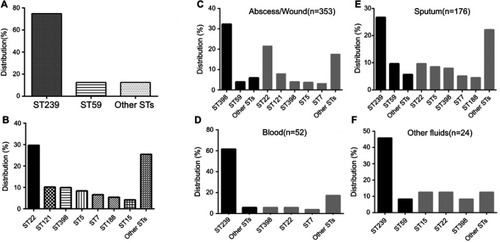 Figure 1 Prevalence of Staphylococcus aureus STs among different clinical specimens. (A) Proportions of the two predominant MRSA sequence types, ST239 and ST59, among all S. aureus isolates. (B) Proportions of the predominant MSSA sequence types, ST22, ST398, ST121, ST5, ST7, ST188, and ST15, among all S. aureus isolates. (C) Distribution of STs in abscess/wound specimens. (D) Distribution of STs in blood specimens. (E) Distribution of STs in sputum specimens. (F) Distribution of STs in specimens of other fluids. (C–F: black bars indicate MRSA and grey bars indicate MSSA.).Abbreviations: MRSA, methicillin-resistant Staphylococcus aureus; MSSA, methicillin-susceptible Staphylococcus aureus; ST, sequence type.