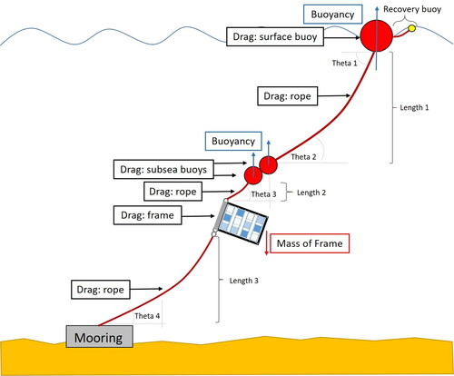Figure 3. Schematic design of the BioFREE monitoring and testing system simplified for clarity. Determination of drag forces and buoyancy on each component was necessary to calculate the maximum angle of displacement (theta) between system components, and the position of frame relative to the seabed.