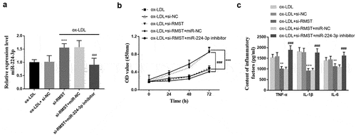 Figure 5. Effects of miR-224-3p on HUVECs. The expression level of miR-224-3p in HUVECs after transfection of si-RMST and miR-224-3p inhibitor. (a) Downregulation of RMST and miR-224-3p could decrease the enhanced cell viability induced by RMST knockout. (b) Simultaneous inhibition of the expression of RMST and miR-224-3p counteracted the inflammatory inhibition induced by RMST knockout. (c) ***P < 0.001, **P < 0.01, ###P < 0.001.