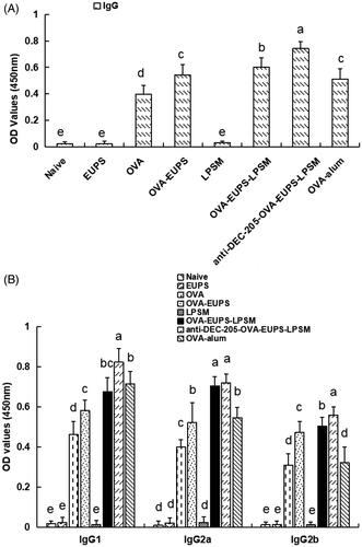 Figure 8. Effect of the anti-DEC-205-EUPS-OVA-LPSM nanoparticles on antibody response. Serum samples were collected for ELISA from immunized ICR mice of all groups on day 14 after the second immunization. The OVA-specific IgG (A), IgG isotopes (B) levels were determined by ELISA, as mentioned in Section 2. The IgG and IgG isotopes concentration is presented as a mean ± standard deviation. (n = 10). Bars marked with different letters (a–e) indicate the statistically significant differences (p < .05).