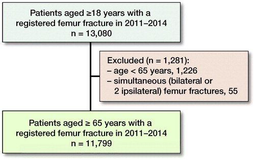 Figure 1. Flowchart of patients included in the study.