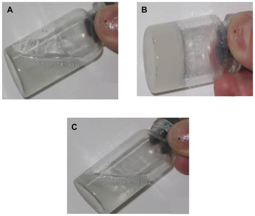 Figure 5 The sol-gel transition observation of AC dual-sensitive gels over the gelation temperature (A), gelation (B), and under the gelation temperature (C).Abbreviation: AC, arctigenin.