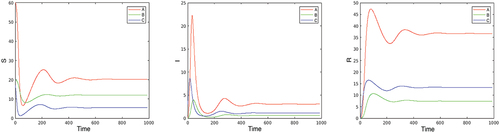 Figure 1. Endemic case in the long run (with μ=0). Left to right S, I, R.