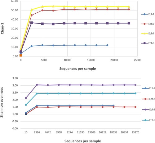 Figure 6. Richness (Chao-1), and evenness (Shannon evenness) indexes observed in pre-and post- weaned lambs.