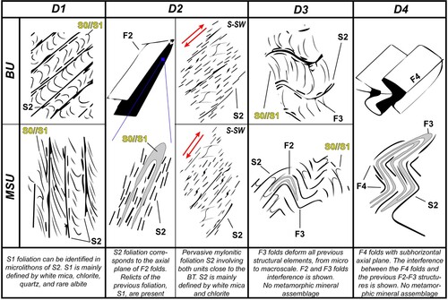 Figure 4. Synoptic reconstruction of the field and microstructural investigations of the deformation history of the BU and MSU.