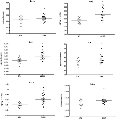 Figure 3. Chronic stress increased pro-inflammatory cytokine levels (normalized by total protein level in the tissue) in the hippocampus. (A) IL-1α; p < 0.2; (B) IL-1β; p = 0.003; (C) IL-2; p < 0.02; (D) IL-6; p < 0.03; (E) IL-10; p = 0.002; (F) TNF-α; p < 0.09. Values are shown as mean ± s.e.m. of 10 CTL and 18 CUMR rats. *Difference from CTL.