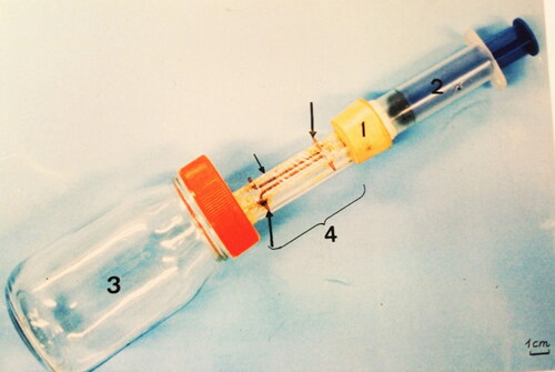 Figure 2. Manufactured device used to extract venom from individual honey bees; 1 = cork; 2 = piston; 3 = glass container; 4 = acrylic tube; smaller arrow = plastic; larger arrows = copper wire.