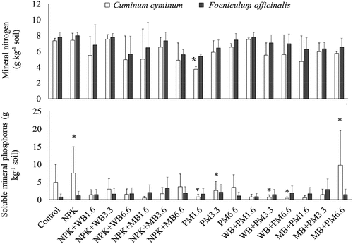 Figure 6. Mean ± SD of comparison between soils grown with C. cyminum and F. vulgare for three years for concentration of mineral N and soluble mineral P. Bars with * show significant differences between C. cyminum and F. officinalis-grown soil (P ≤ 0.05). Control, no fertilizer amendment; NPK, synthetic NPK fertilizer; WB, wood-derived biochar; MB, cow manure-derived biochar; PM, poultry manure; +, mixture of NPK or PM with biochar; 1.6, 3.3 and 6.6, fertilizer amendment rates in t ha−1. The Kruskal–Wallis test, followed by pairwise comparison between two treatment means was performed using Mann–Whitney test with Bonferroni correction.