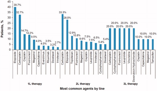 Figure 4. Most commonly administrated chemotherapy agents by line of treatment among the overall chemotherapy-treated population. 1L, first line; 2L, second line; 3L, third line.