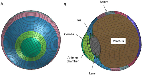 Figure 1 Frontal (A) and sagittal (B) view of model eye of emmetropia.