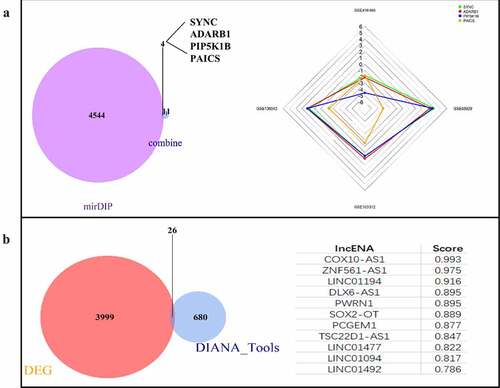 Figure 4. Construction of ceRNA network. (a): mRNA targets predicted from miRNAs. (b): Prediction of lncRNA associated miRNA