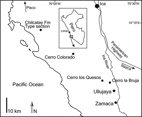 FIGURE 1. Map of the Pisco-Ica desert, southern coast of Peru, showing the two localities of the Chilcatay Formation where squalodelphinids, including Huaridelphis raimondii, n. gen. et sp., were found: Ullujaya and Zamaca. Marine vertebrate-rich localities of the Mio-Pliocene Pisco Formation are also indicated: Cerro Colorado, Cerro los Quesos, and Cerro la Bruja.